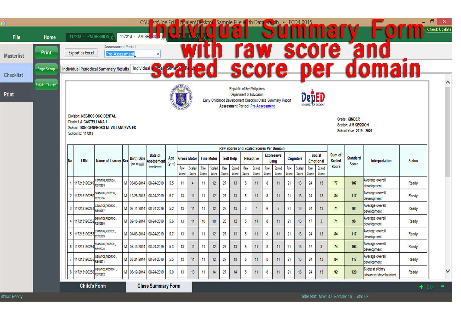 Individual summary form with raw score and scaled score per domain